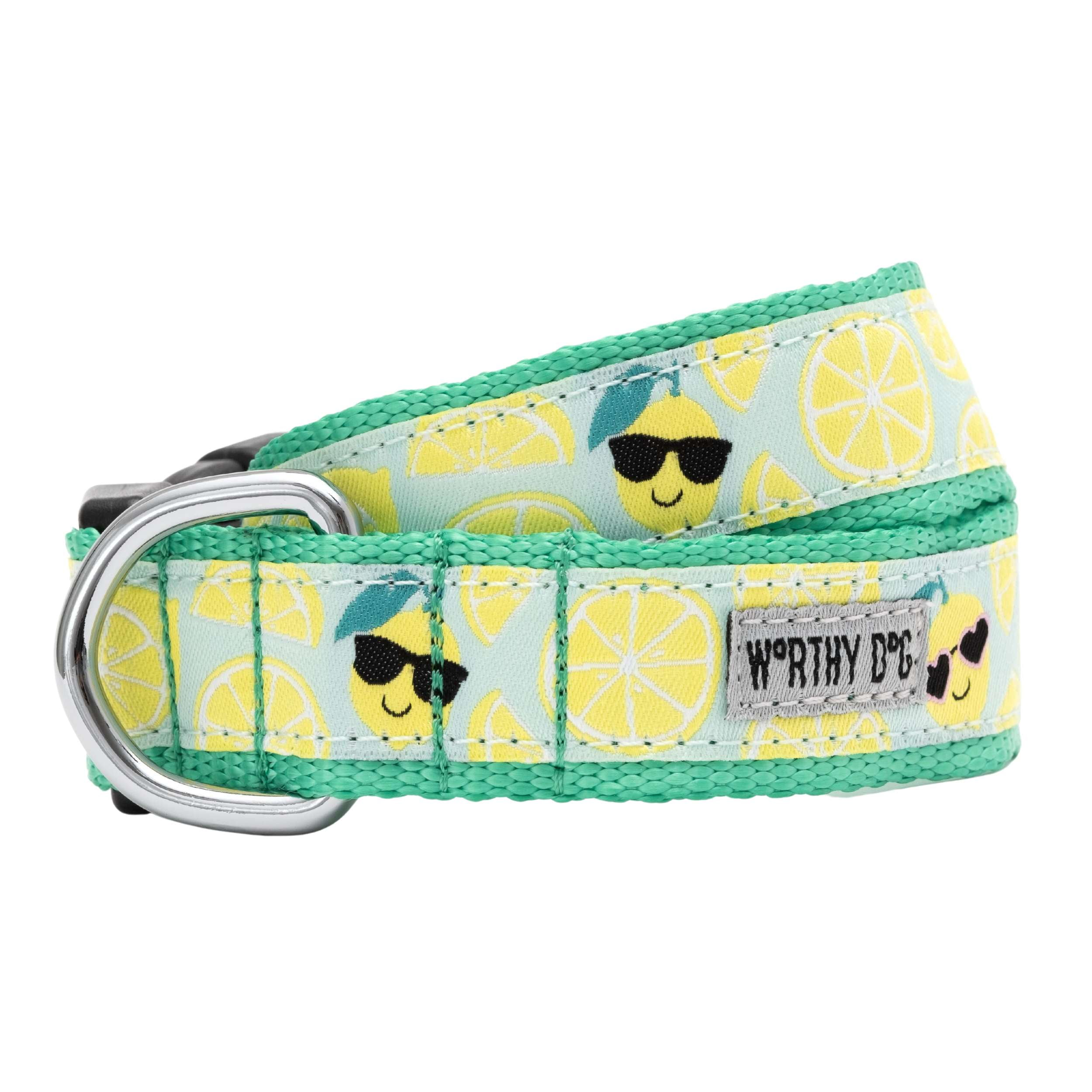 SUNNY-LEMONS-DOG-COLLAR