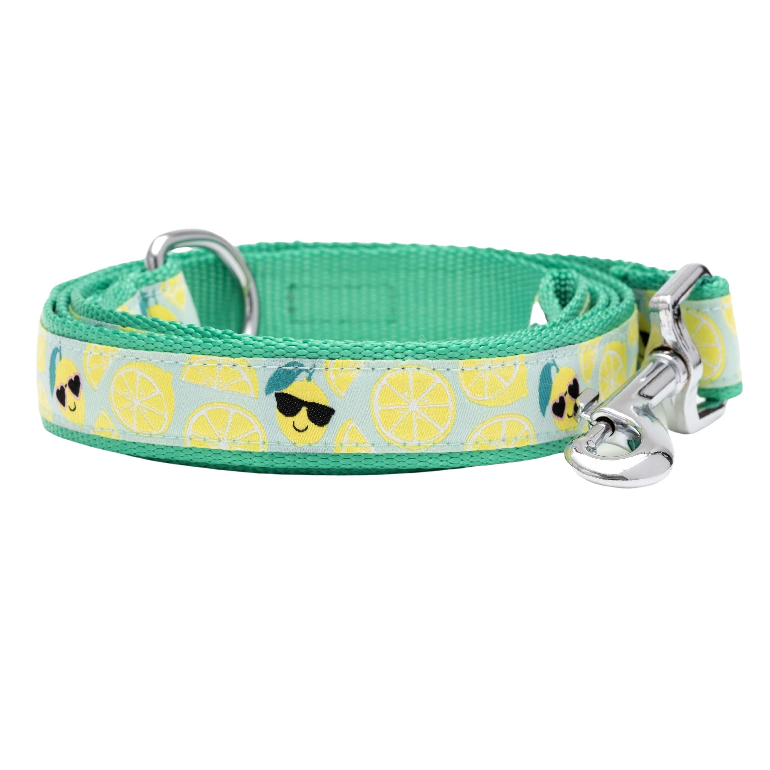 SUNNY-LEMONS-DOG-LEASH