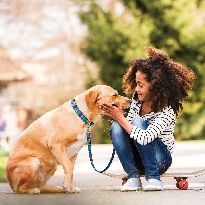 sutton-stripe-dog-leash