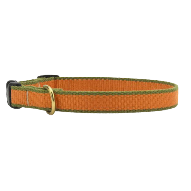 TANGERINE-PINE-DOG-COLLAR-SMALL-BREED-TEACUP