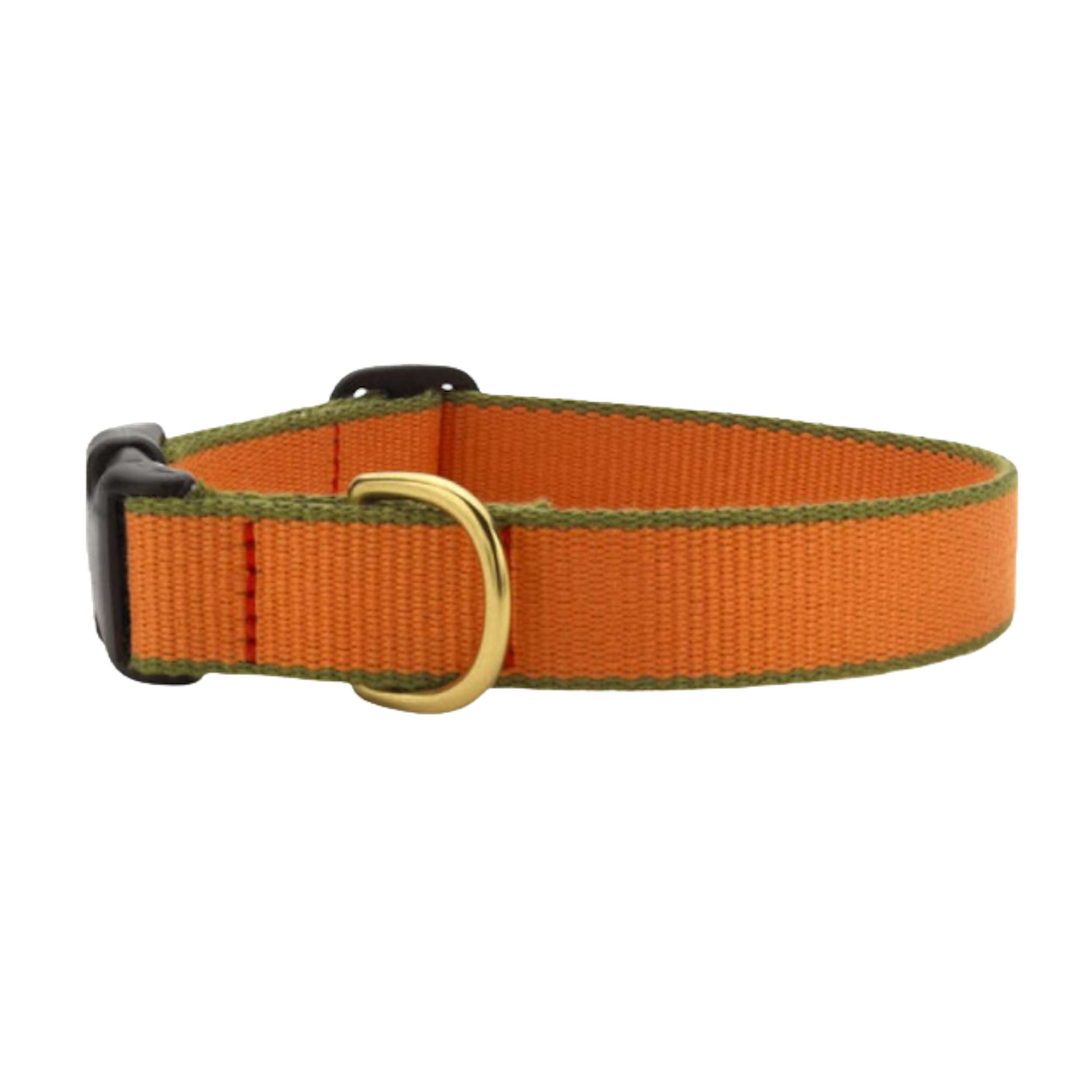 TANGERINE-PINE-DOG-COLLAR