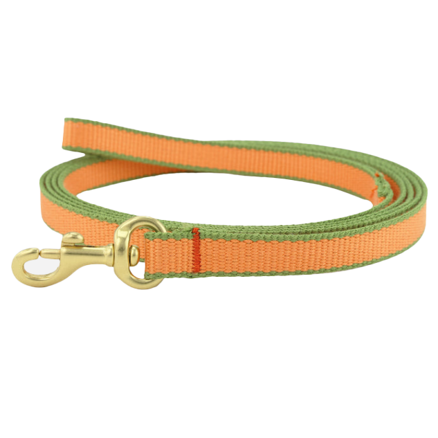 TANGERINE-PINE-DOG-LEASH-SMALL-BREED-TEACUP