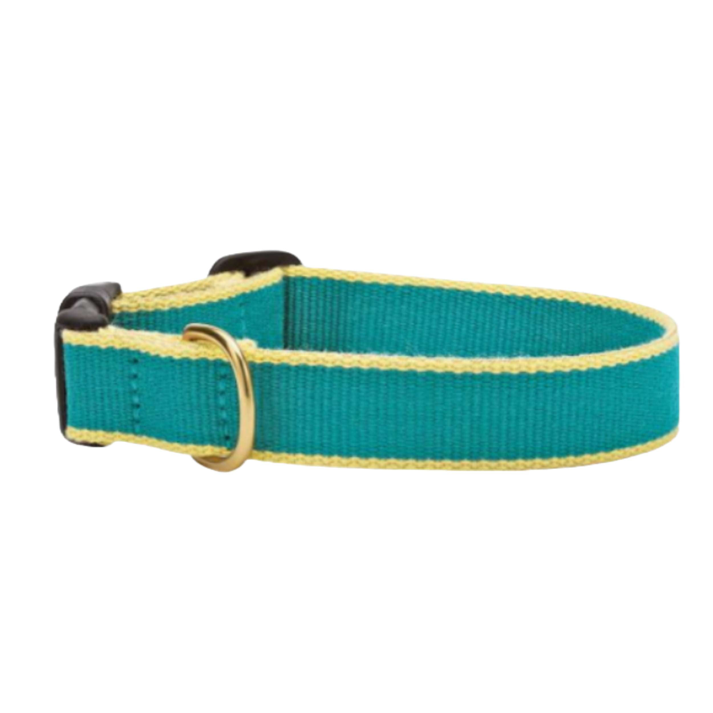TEAL-YELLOW-DOG-COLLAR