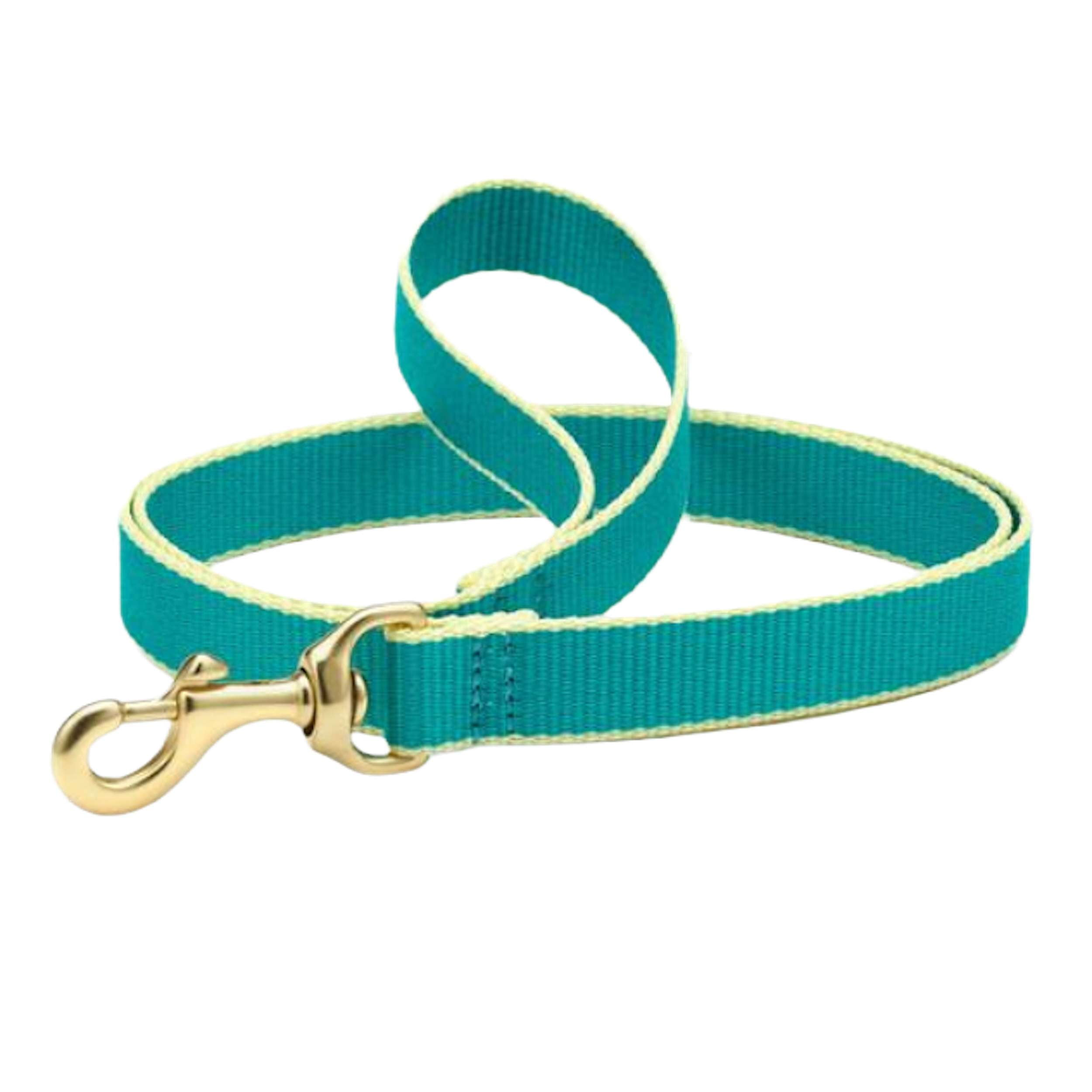 TEAL-YELLOW-DOG-LEASH