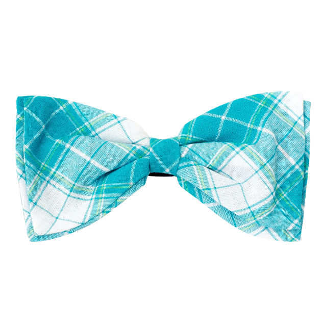 TURQUOISE-WHITE-MADRAS-PLAID-DOG-BOW-TIE