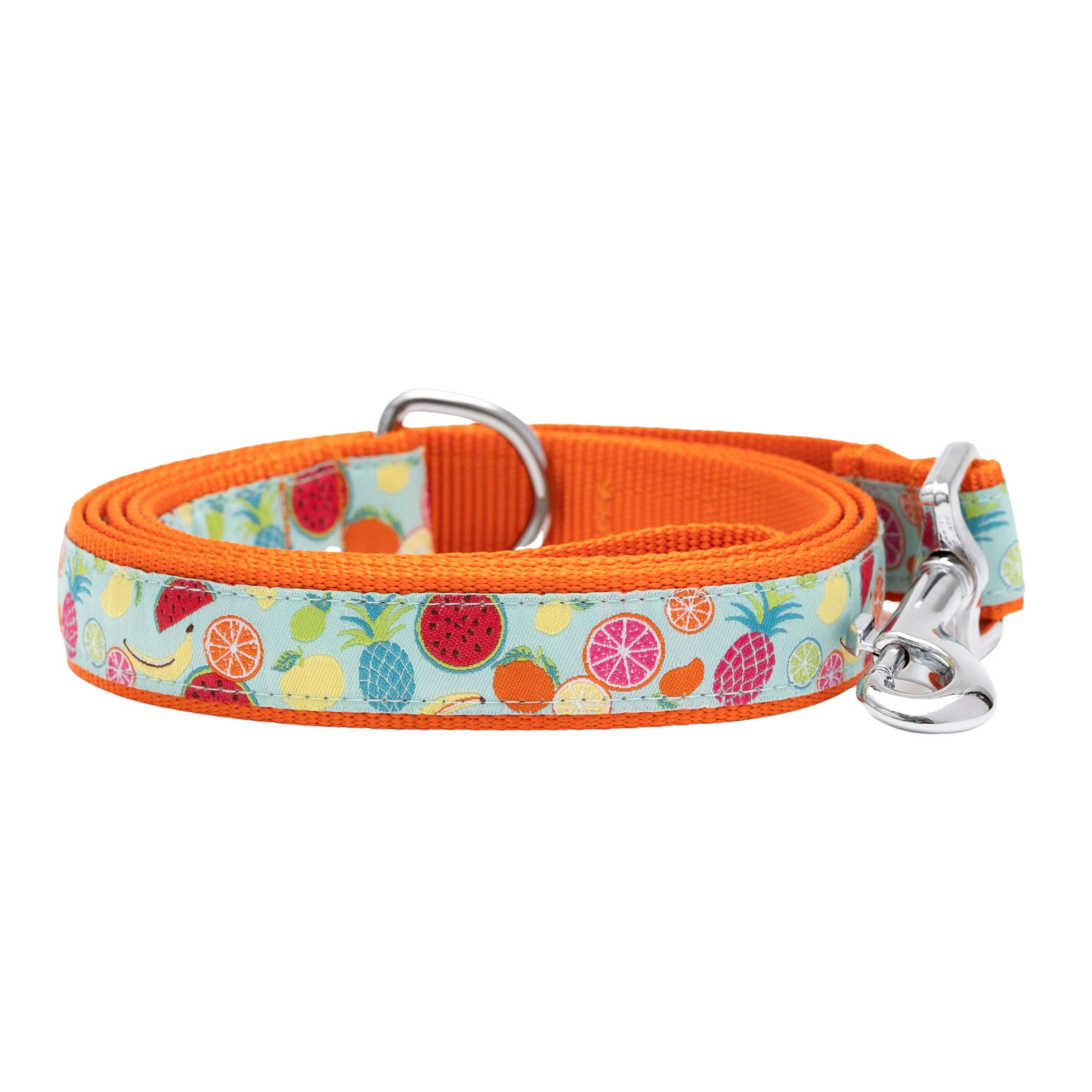TUTTI-FRUTTI-DOG-LEASH