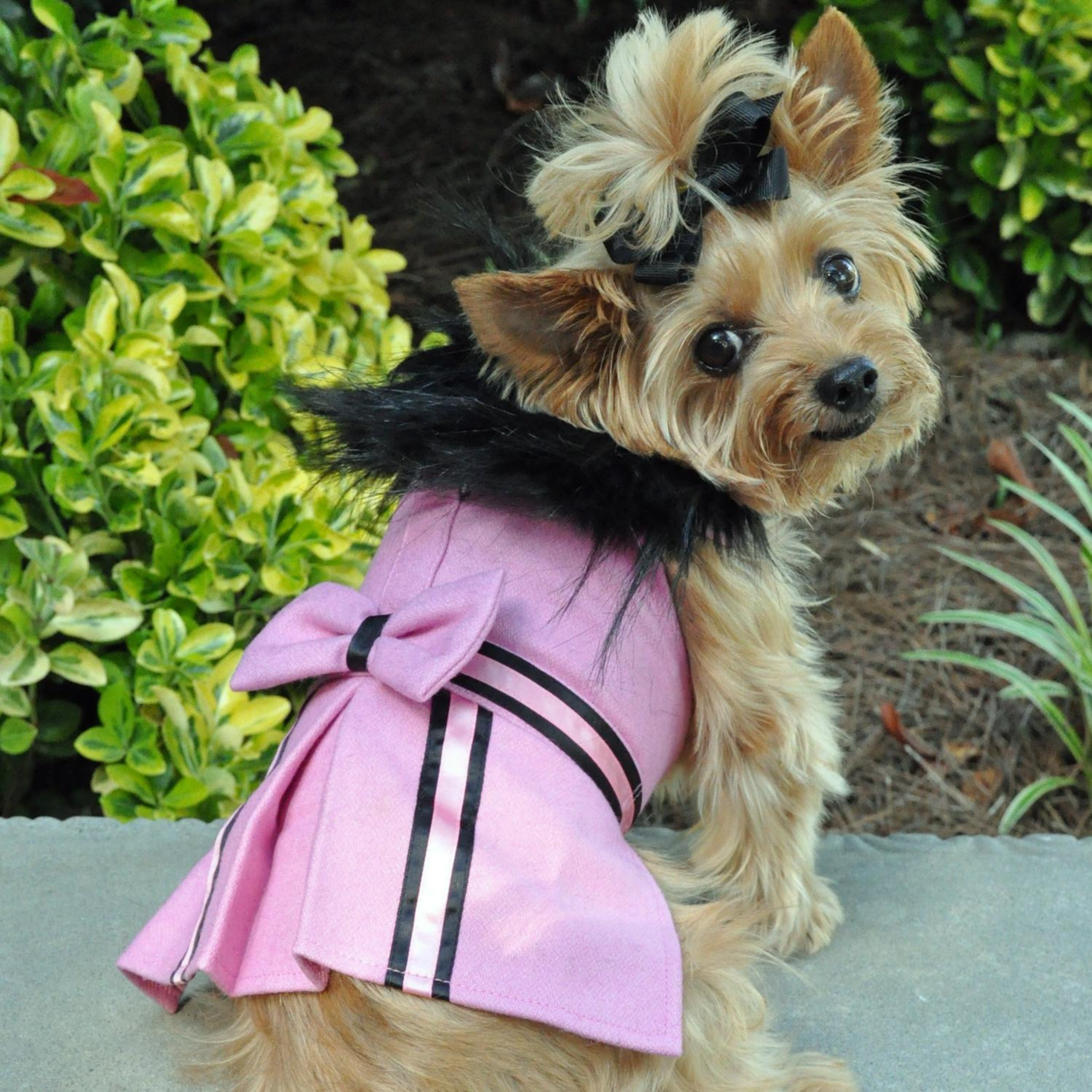 WOOL-FUR-TRIMMED-DOG-COAT-PINK